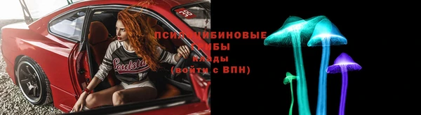 а пвп мука Бородино