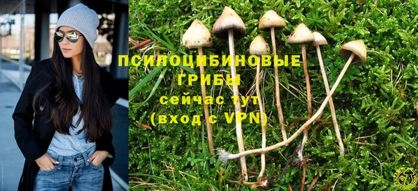 эйфоретик Бугульма
