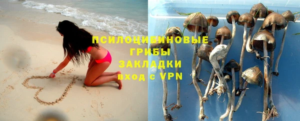 а пвп мука Бородино