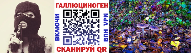 Псилоцибиновые грибы Magic Shrooms  blacksprut tor  Туапсе 